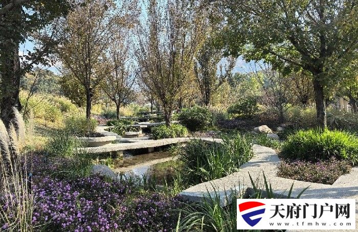 “在德昌康养”成为向往 四川德昌以海花沟“热”带动乡村振兴