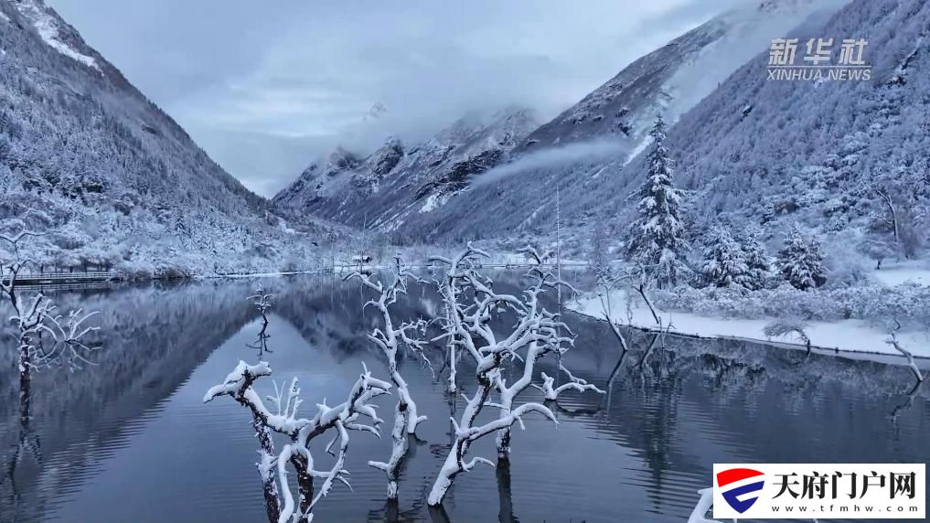 春雪漫山 四姑娘山把浪漫藏进了每一片雪花里